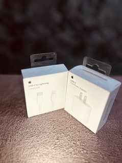 iPhone original charger