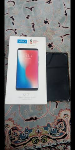 vivo