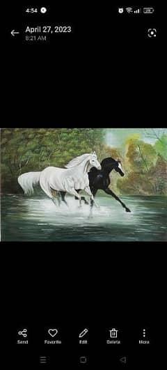 beautiful running horse painting