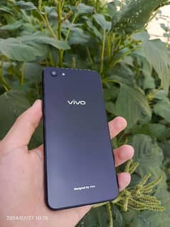 vivo