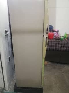 Fridge Dowlance Medium Size