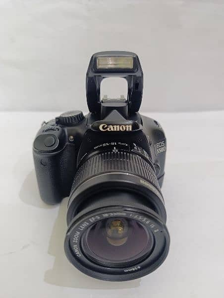 Canon DSLR Video+photography external mic 0