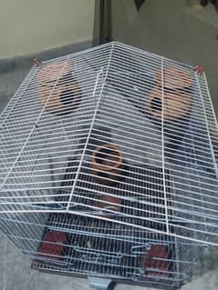 Birds cage