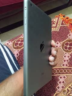 Apple Ipad mini2