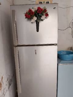 PEL refrigerator