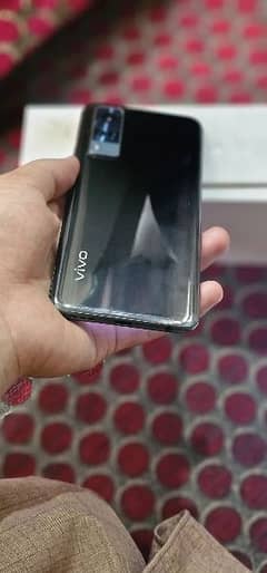 vivo