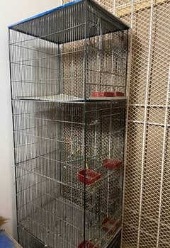 Parrot Cages