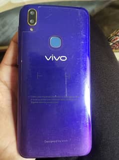 vivo