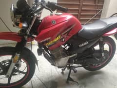 yamaha