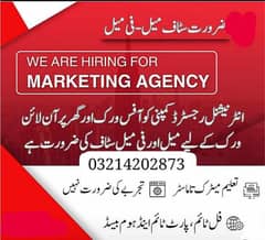 we need for online marketing staff males and females