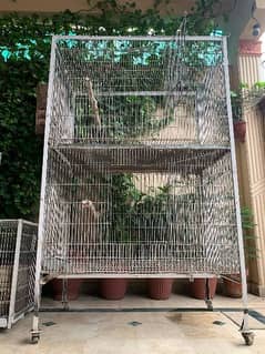 parrot cages