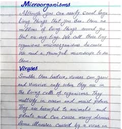 Hand writting assignment work