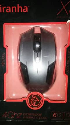 mouse