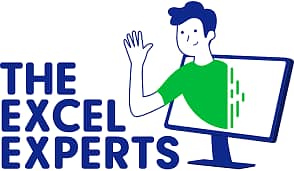 MS Excel expert