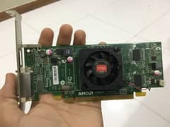 Amd