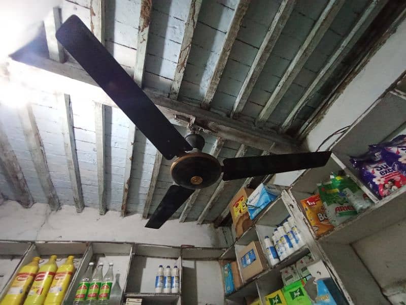 Ceiling Fan 1