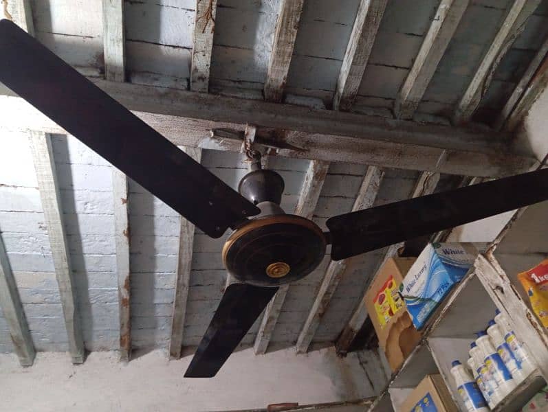 Ceiling Fan 2
