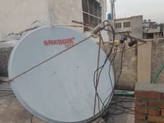 6 Feet shabbir Solid Dish