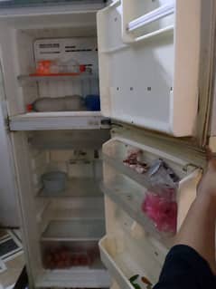 sharp japanese company fridge