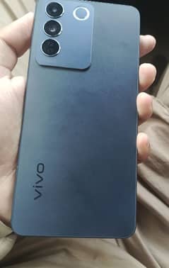 vivo