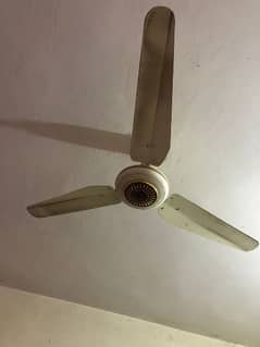 ceiling fan