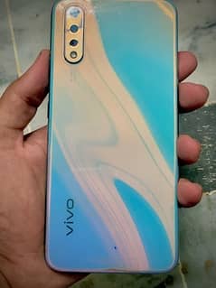 vivo