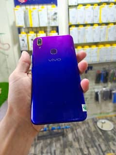 ViVo