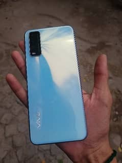 vivo