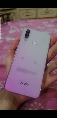 VIVO