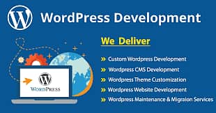 Website developement | Wordpress Developer | Ecommerce Website | Port