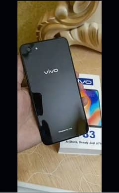 vivo