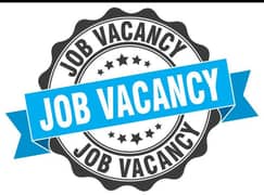 Urgently staff required hiring male and female digital marketing