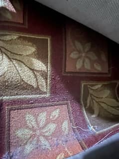 carpet / room carpet / carpet with form / used carpet for sale