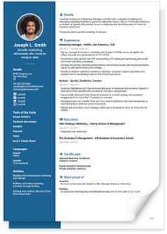 Professional Cv