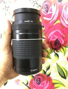 Canon 75-300 lens zoom lens