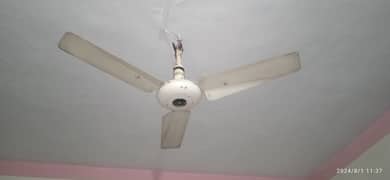 Ceiling Fan