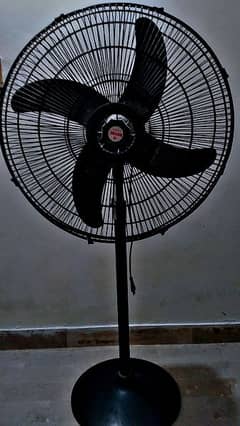 Royal Pedestal Fan - Premium Quality, Like New!, Reasonable Price!