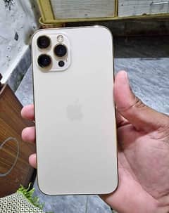 iphone 12 pro max PTA approved for sale 03266068451