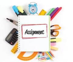 assignment hand writing service available