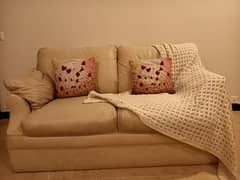 2 Seater Sofa with Cushions