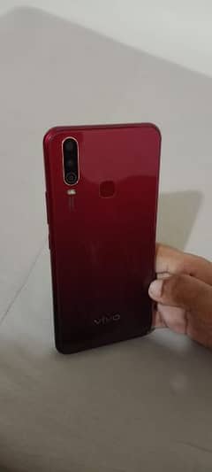 Vivo