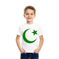 Boys Stitched Cotton Printed T Shirt