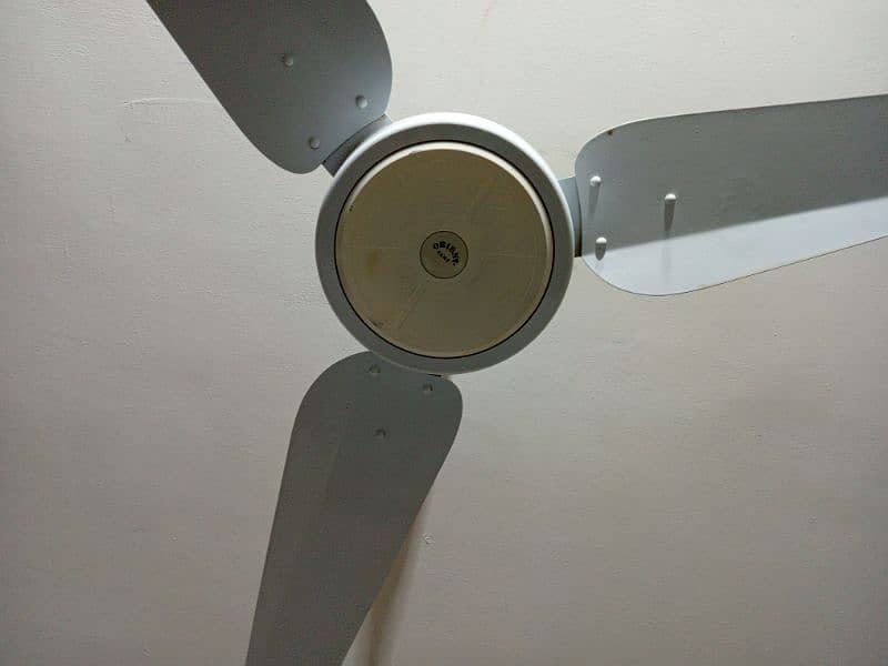 ceiling fan 1