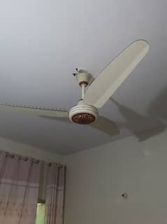 Royal Ceiling Fan