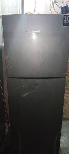 Hair Fridge in Good condition