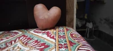 love potato