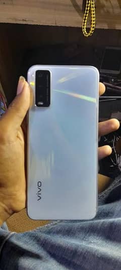 vivo