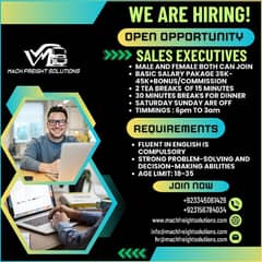 Sales Executive