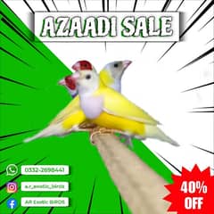 GOLDIAN_Azaadi_SALE_40%-OFF