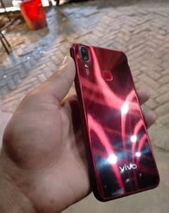 vivo